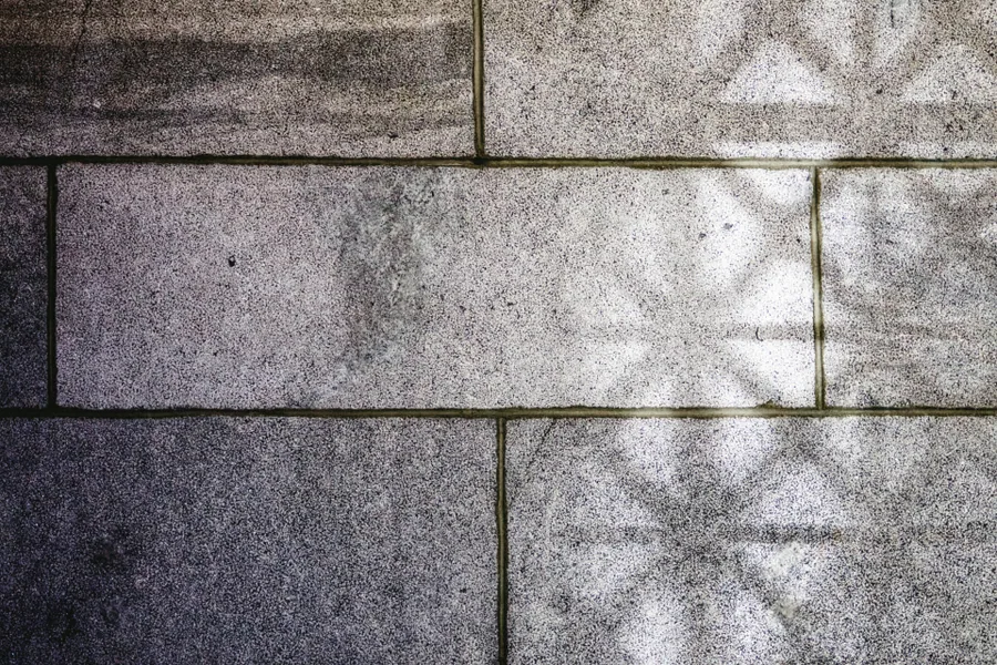 Briques et blocs de ciment pour construction