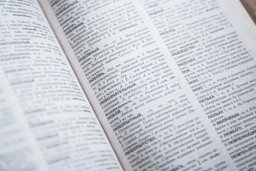 Dictionnaire et apprentissage des langues
