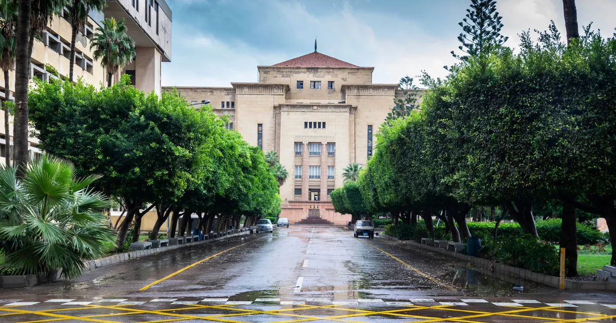 Beautiful view of a tree-lined drive leading to a historic building in Alexandria, Egypt.