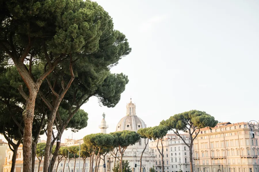 Captivating view of historic architecture and green pine trees in a European city.