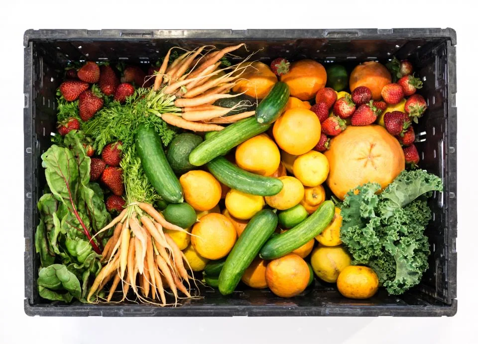 Manger Sainement en 2026 : Guide Nutrition