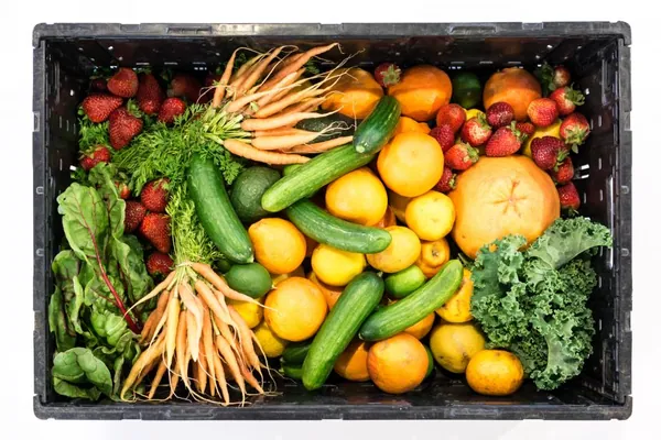 Manger Sainement en 2026 : Guide Nutrition