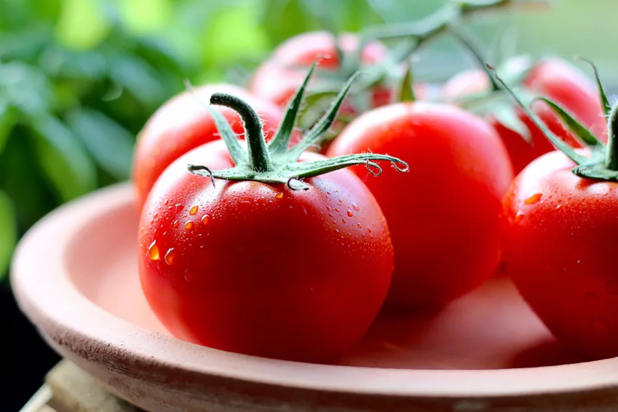 Assiette équilibrée de légumes frais et de protéines