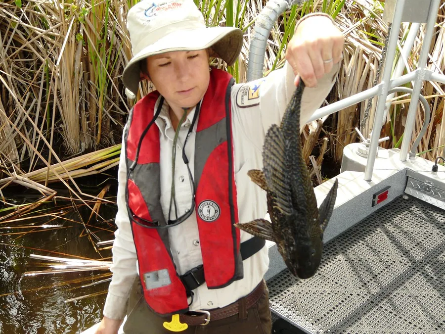 Bassin d'elevage de poissons en aquaculture