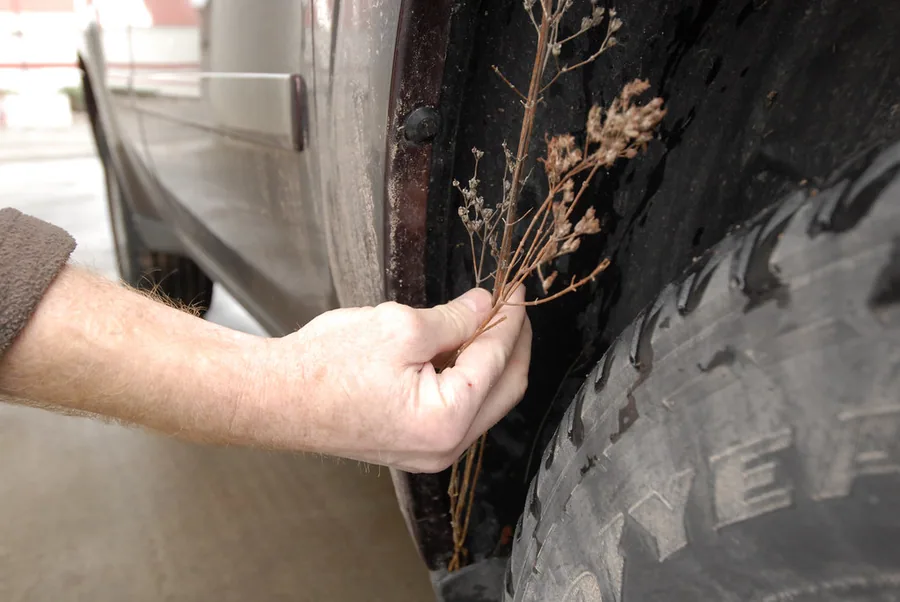 Station de lavage auto en Tunisie avec nettoyeur haute pression