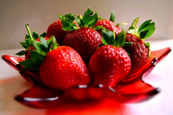 Projet : Vente de Jus Naturels en Tunisie 2026