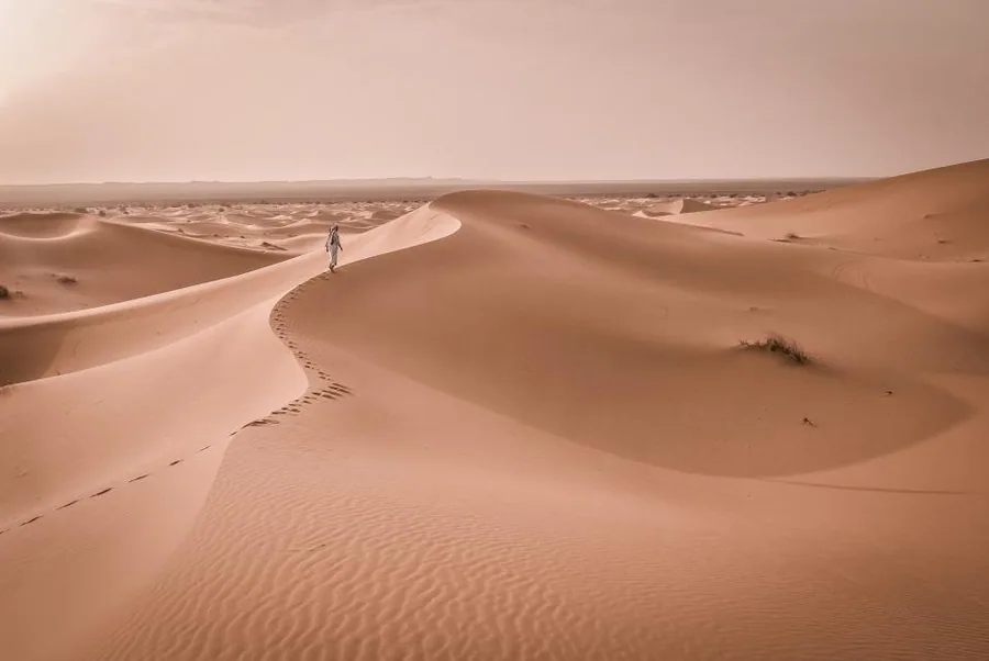 Dunes de sable du Sahara tunisien au coucher du soleil