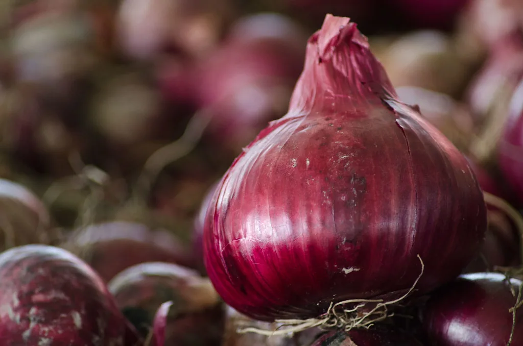 Vendre ses Produits Artisanaux en Ligne en Tunisie 2026