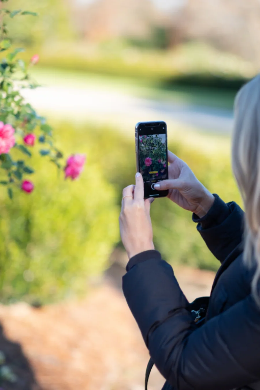 Vendre sur Facebook et Instagram en Tunisie