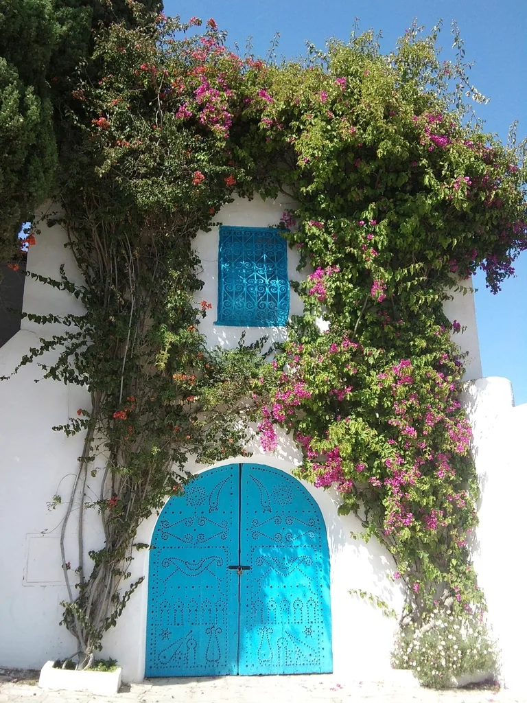 Ruelle blanche et bleue de Sidi Bou Saïd