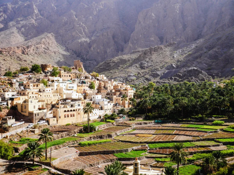 Oasis et palmiers à Tozeur au coucher du soleil