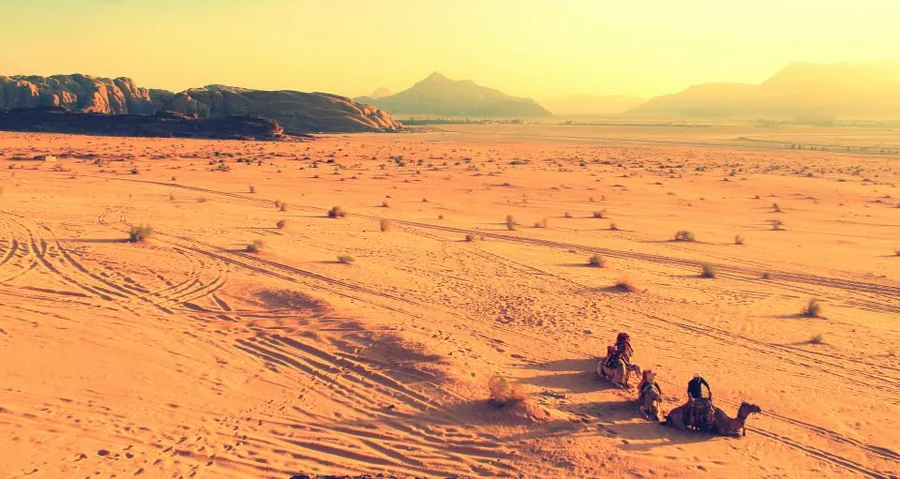 Dunes de sable et dromadaire dans le désert près de Tozeur