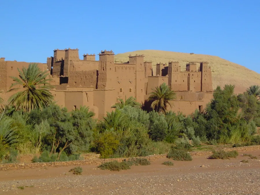 Oasis de palmiers dans le désert tunisien